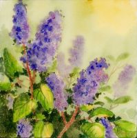 15- Fragrance lilas